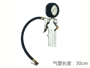 锐克马REKMA AA-6003打气量压表